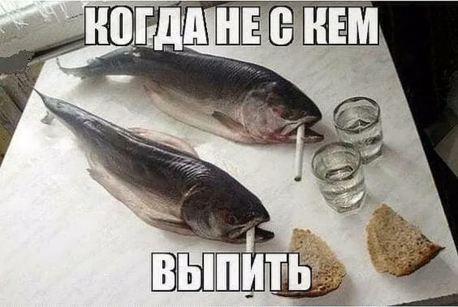 Смешные картинки про рыбу