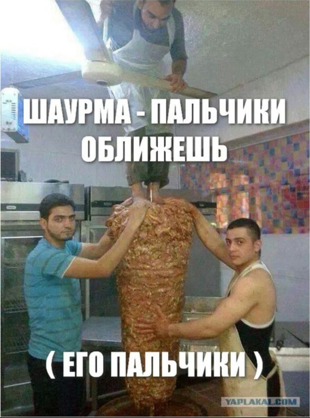 Картинки про шаурму