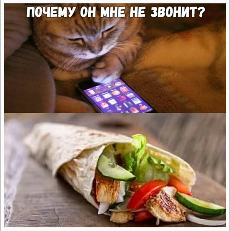 Шаурма из кота