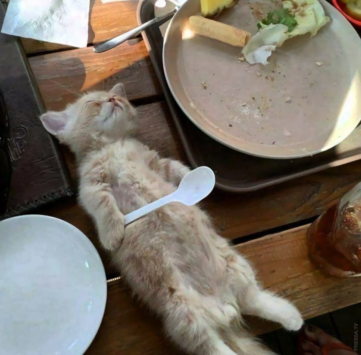 Обед прикол. Котенок наелся. Приятного аппетита коты. Смешной обед. Кот поел.