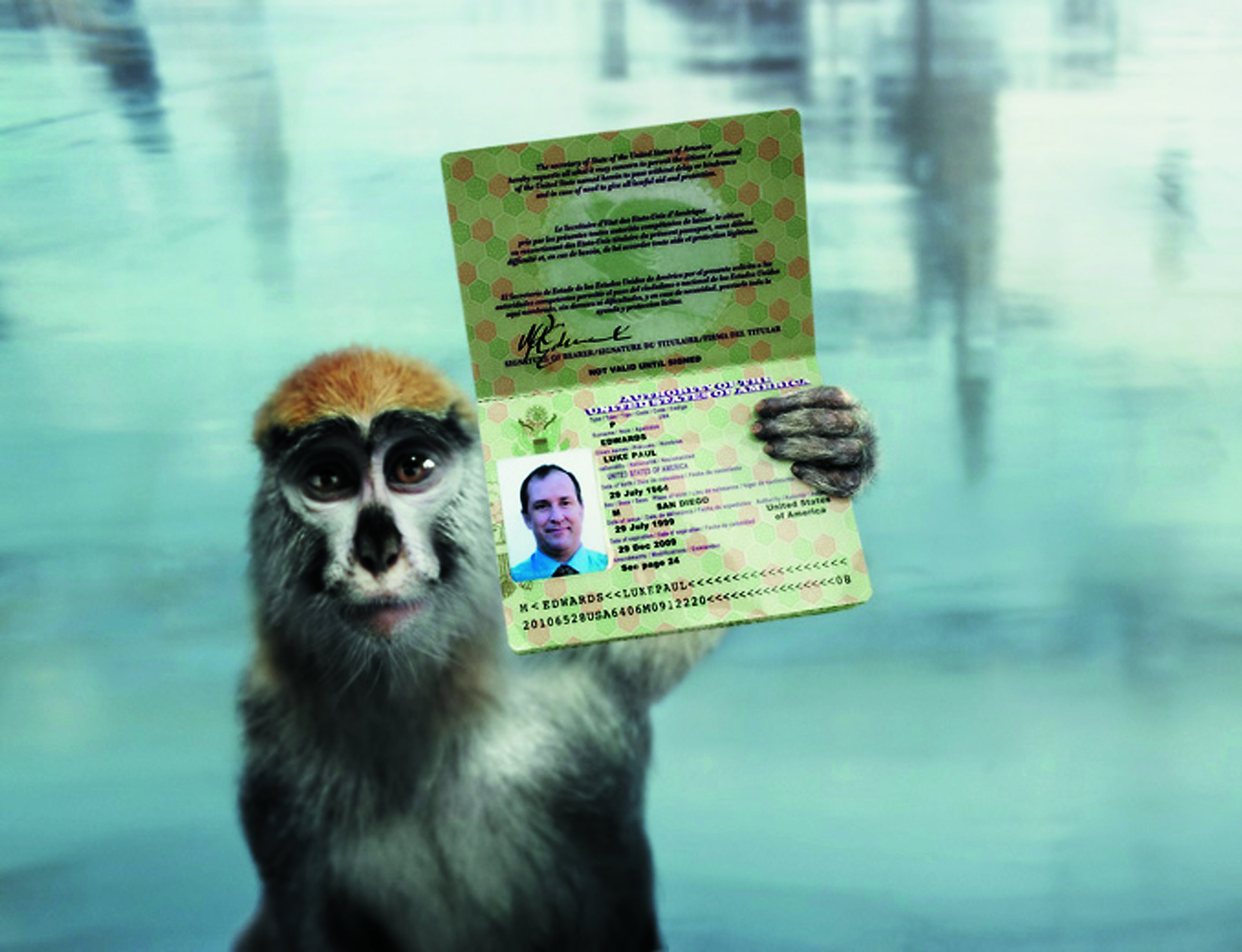 Паспорт приколы обезьяна
