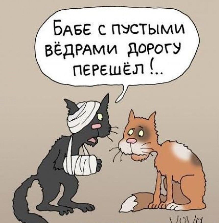 Карикатуры с котами