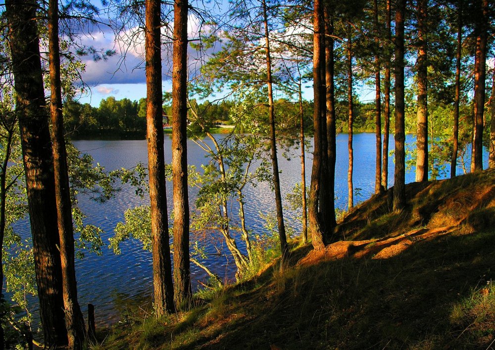 Будогощь Ленинградская область озеро светлое