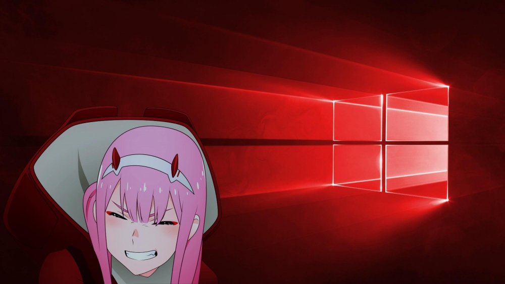 Zero two 16