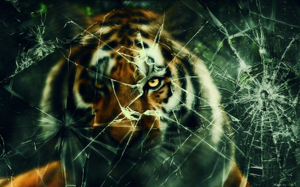 Тигр крутые картинки