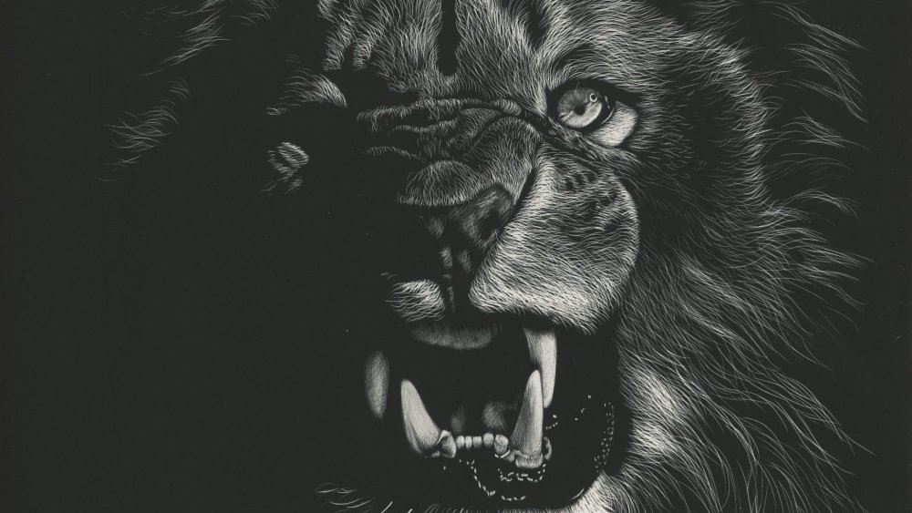 Лев с короной на черном фоне