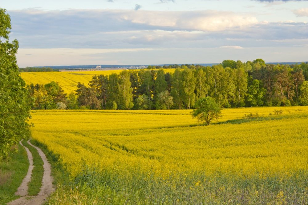 Белорусский пейзаж