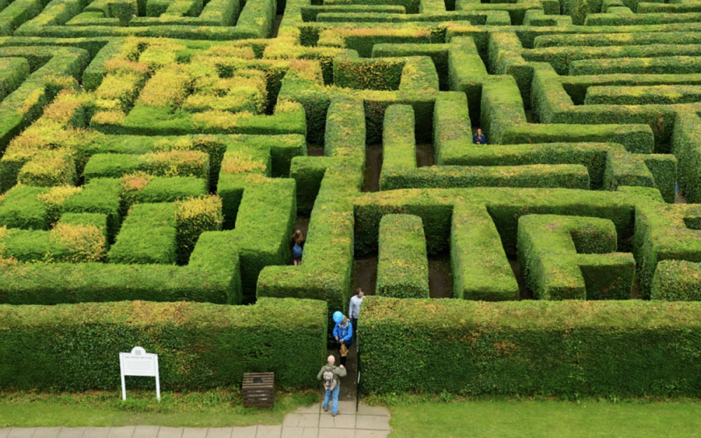 Traquair Maze (Шотландия)