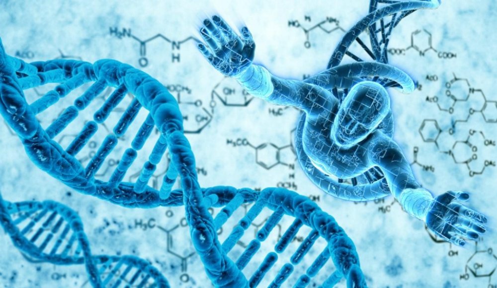 Исследование ДНК