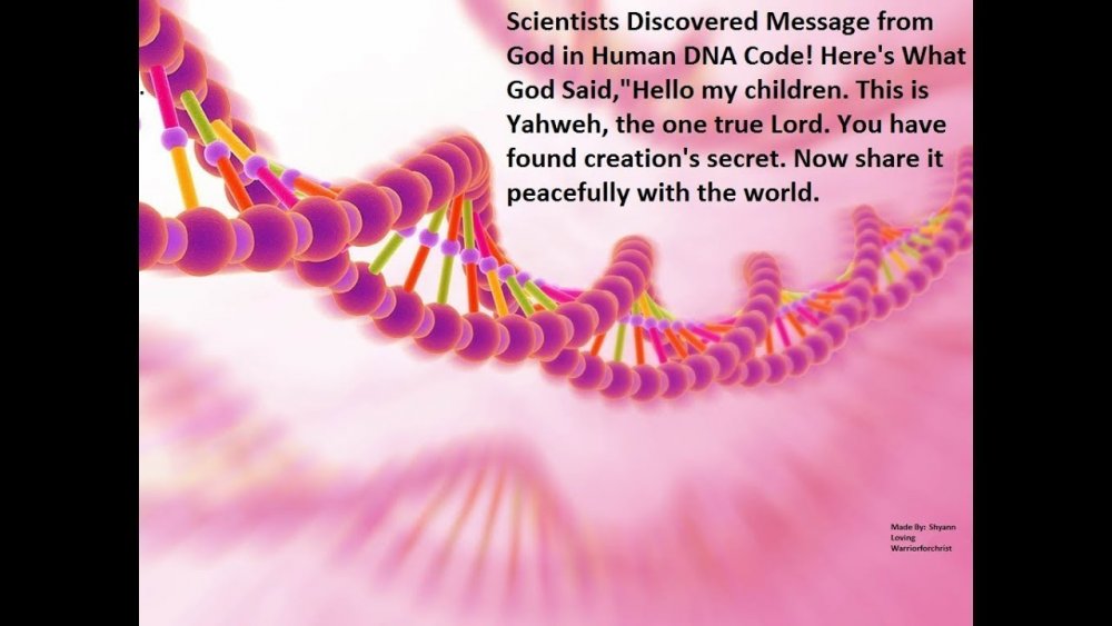 Человеческая ДНК