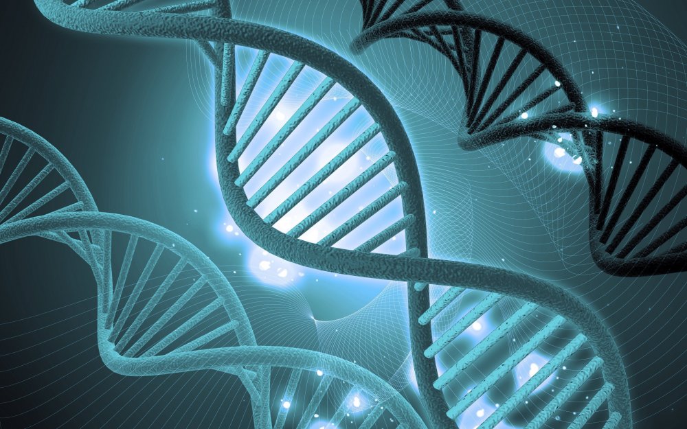 ДНК генетика биология