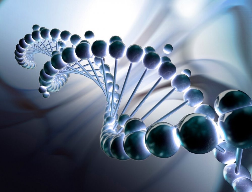 ДНК молекулы наследственности