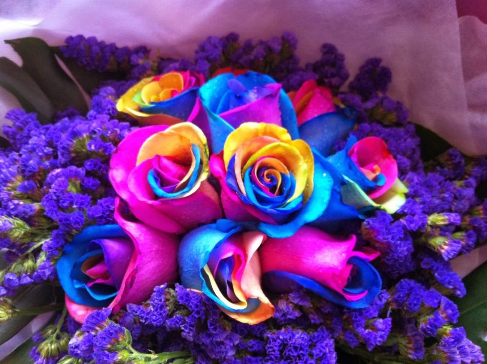 Красивые темно синие цветы