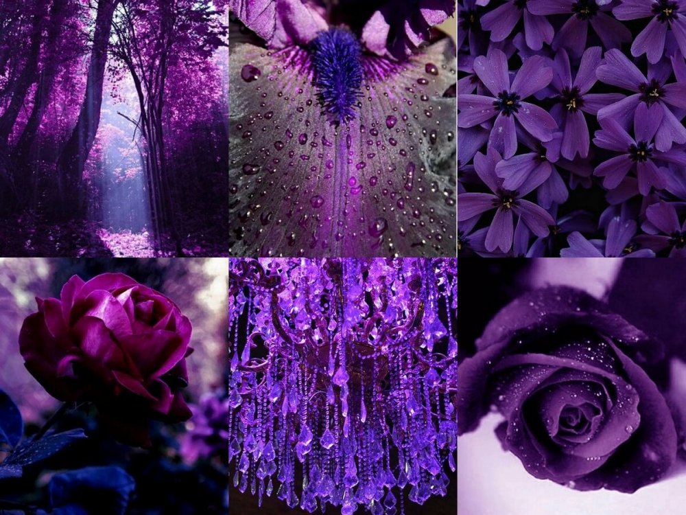 Эстетика фиолетового света