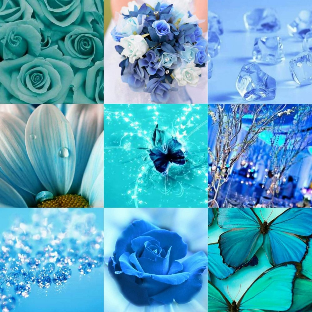 Коллаж в голубом цвете