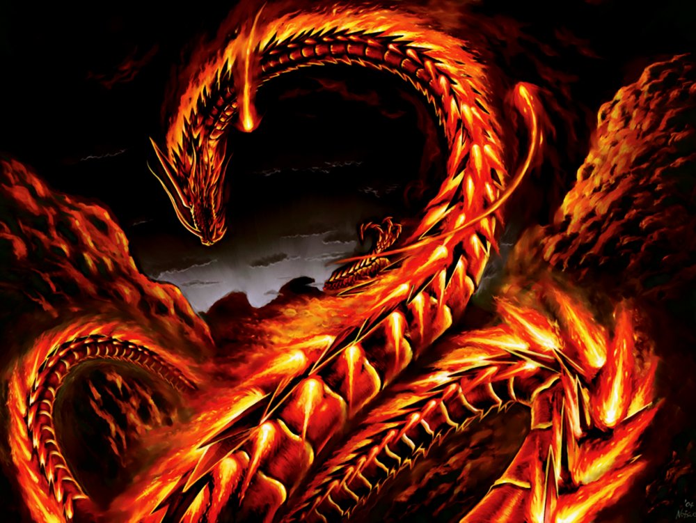 Аркат дракон огня арт