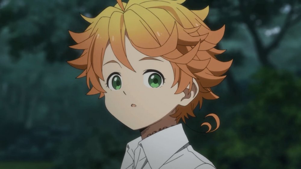 Обещанный Неверленд / Yakusoku no Neverland