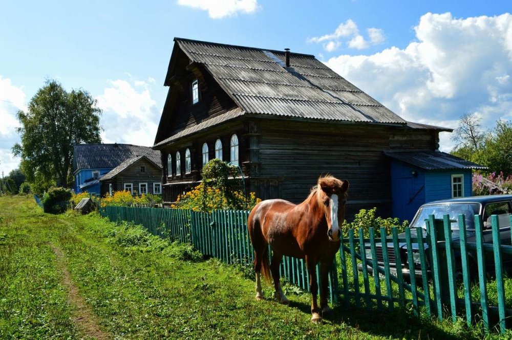 Деревня деревеньки Ярославской области