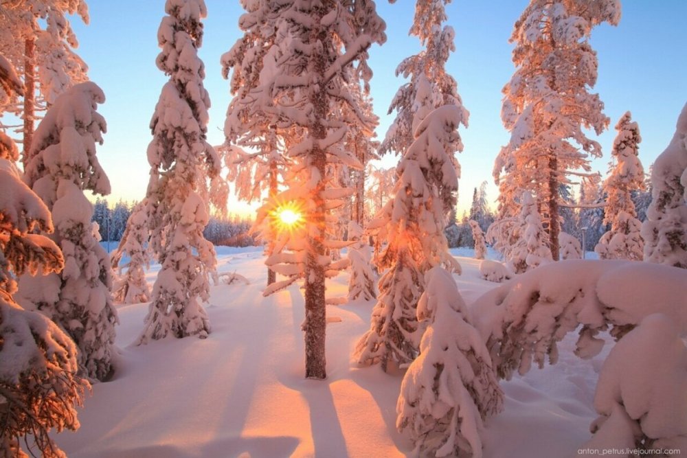 Красивые пейзажи зимы