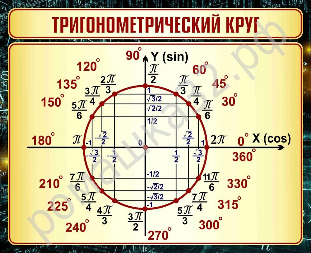 Единичная окружность тригонометрия 10 класс