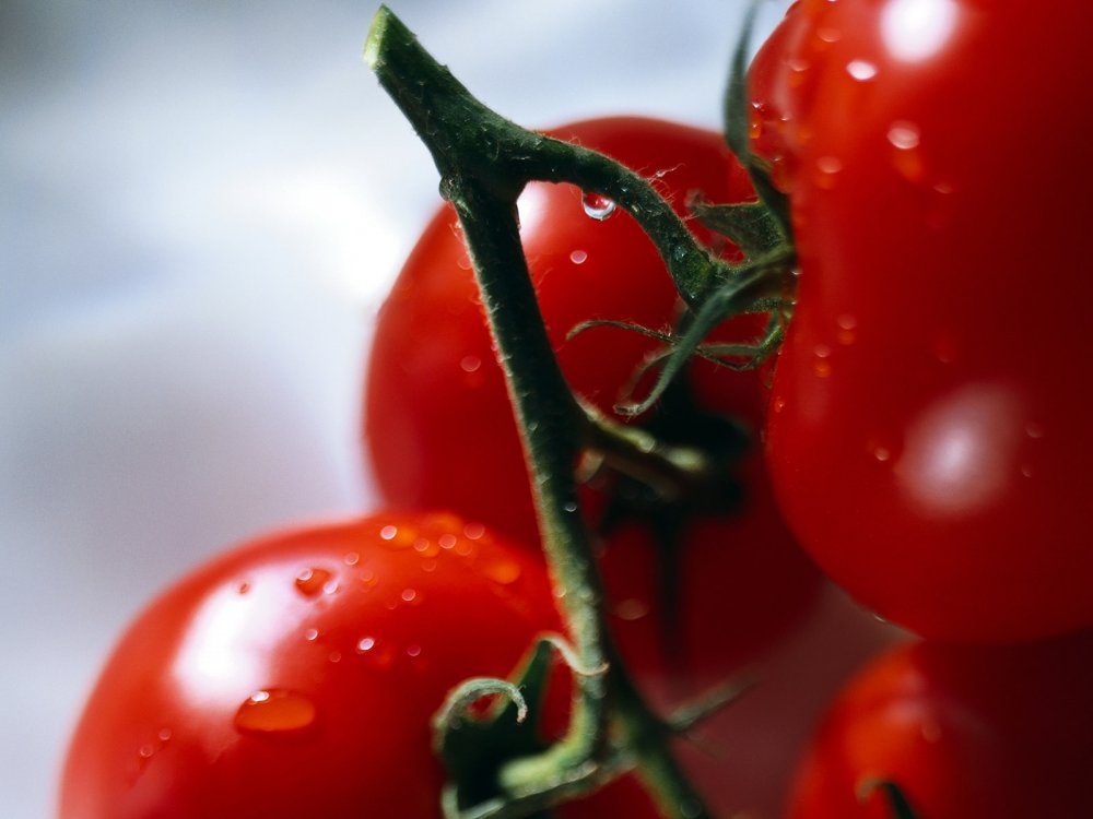 Черри томат Pomodoro