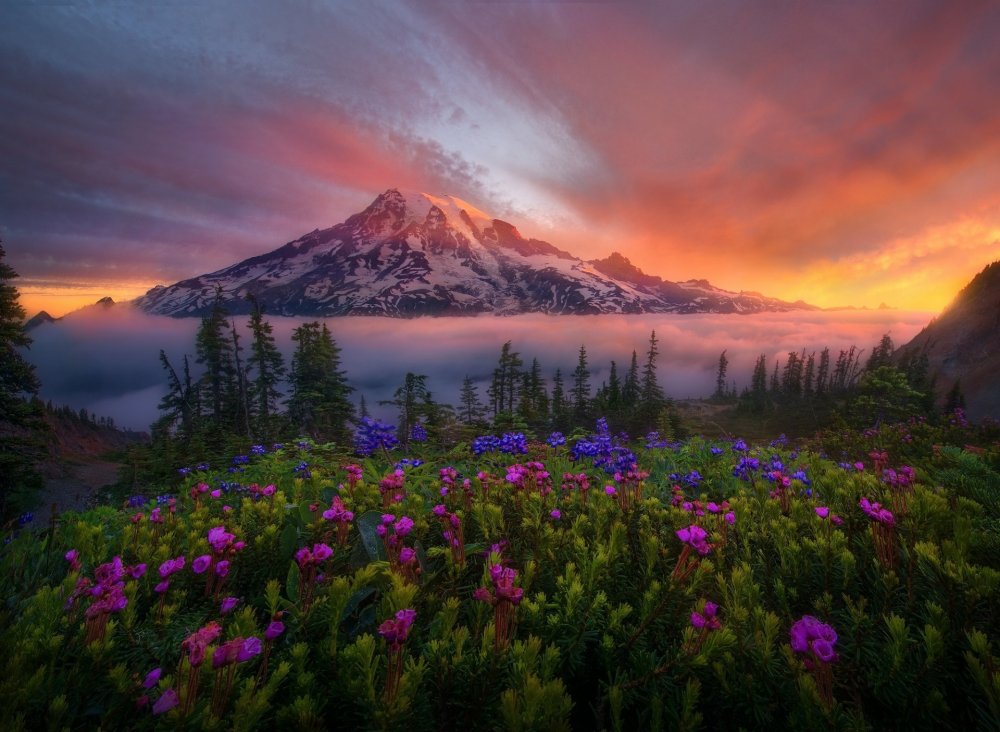 Фотограф Кевин МАКНИЛ Kevin MCNEAL