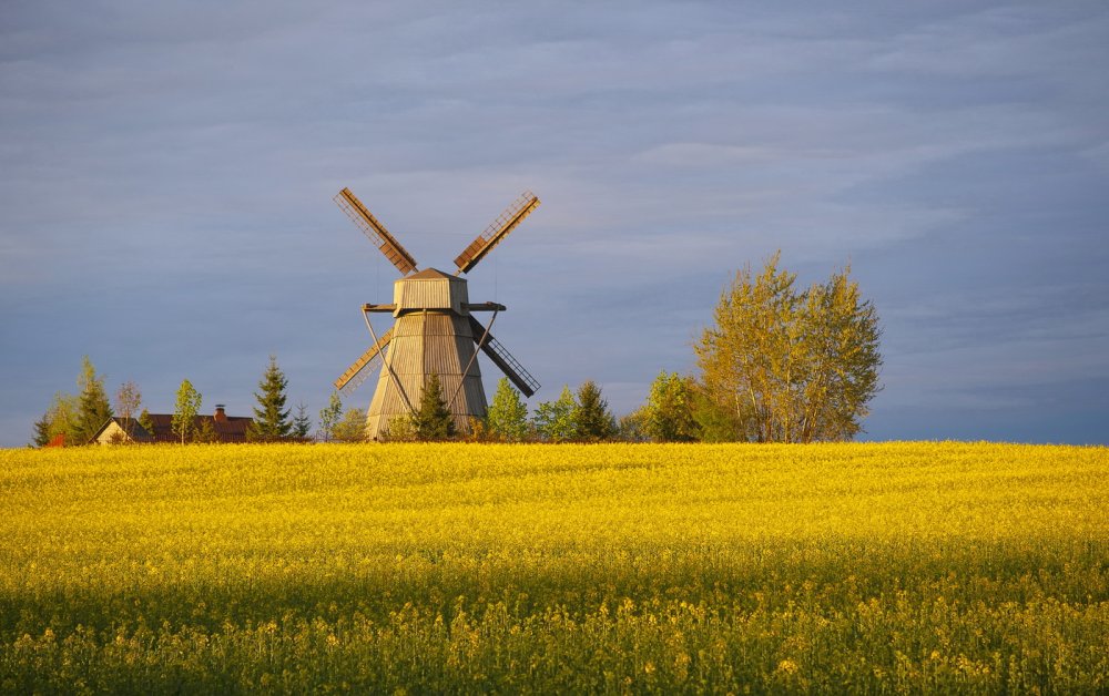 Армавир Долина ветряных мельниц