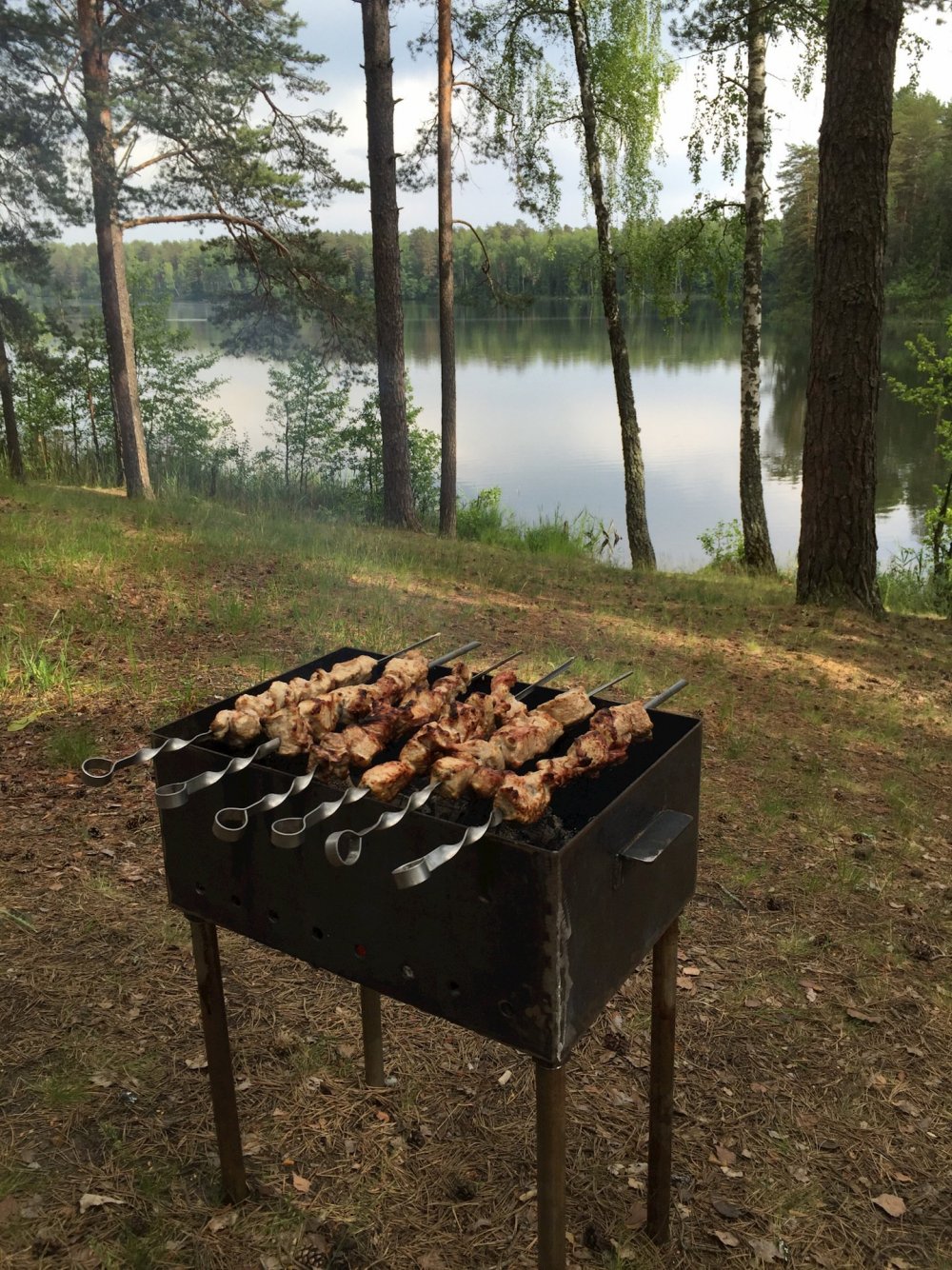 Картинка мангал шашлык