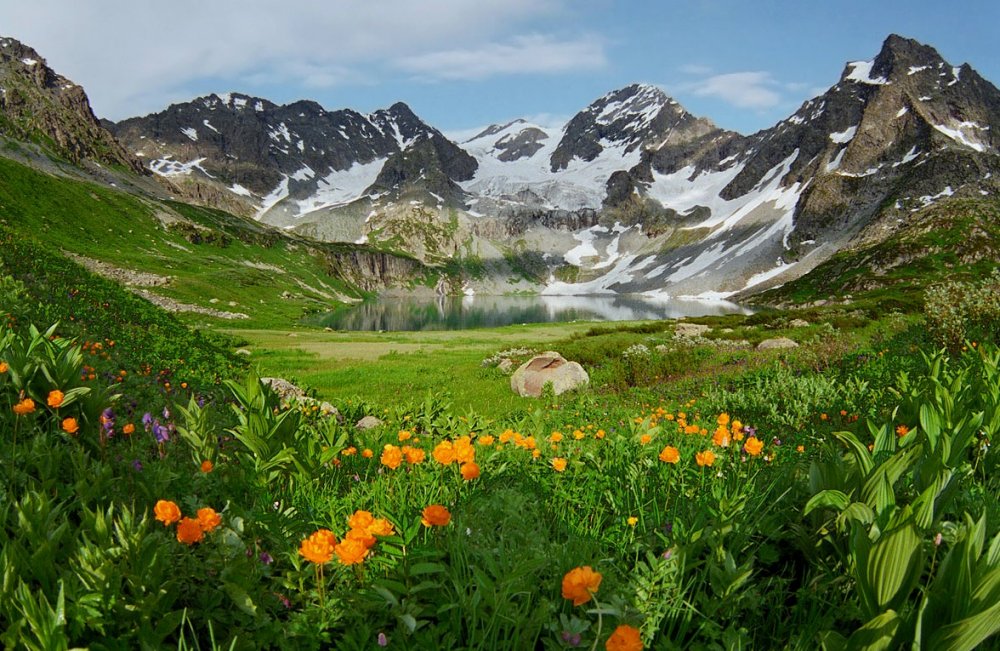 Кучерлинские озёра, Алтай