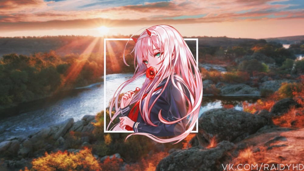 Zero two 4к