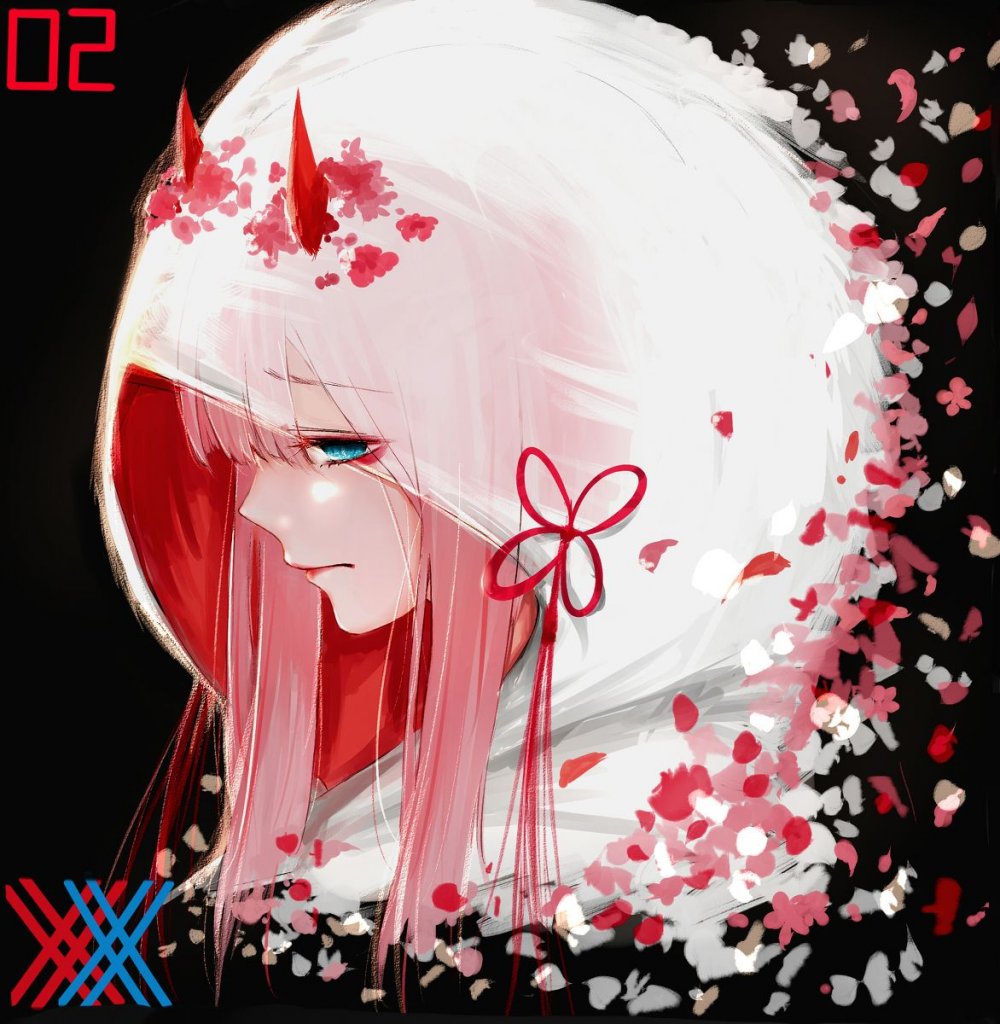 Zero two космос