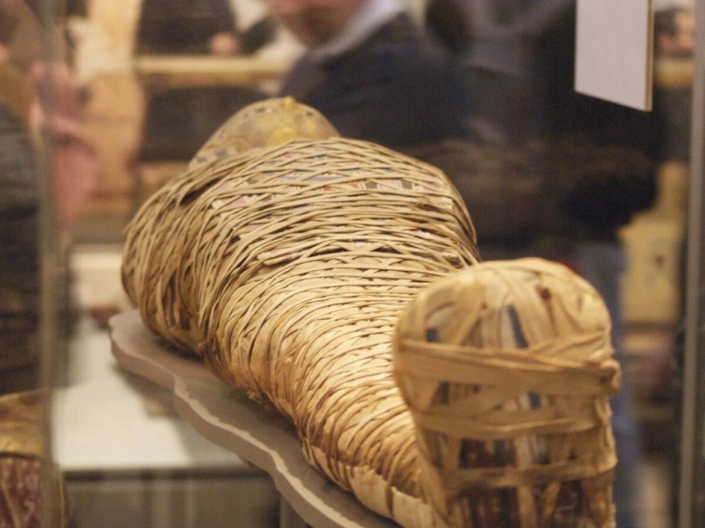 Древнеегипетские мумии