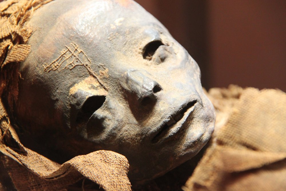 Древняя Египетская Мумия