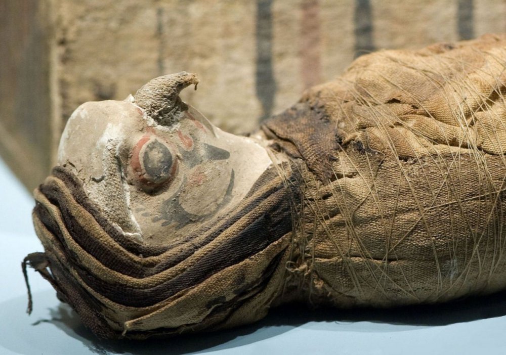 Картинки Мумий древнего Египта
