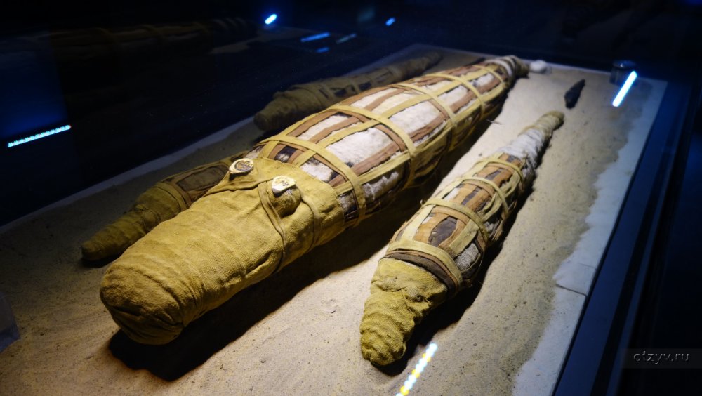 Египетский музей в Каире мумии