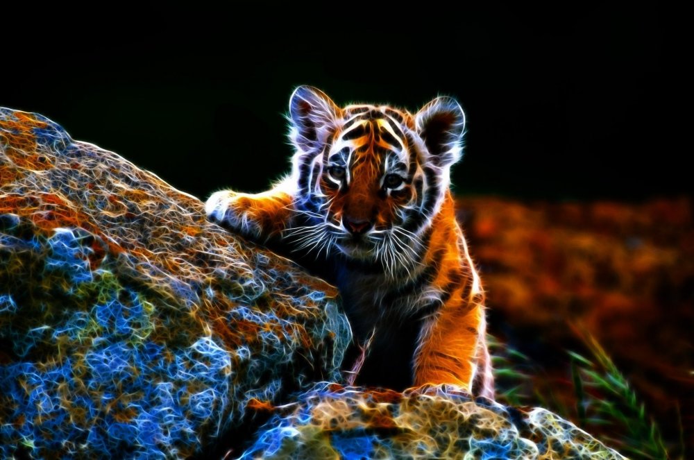 Тигр тигрица и Тигренок