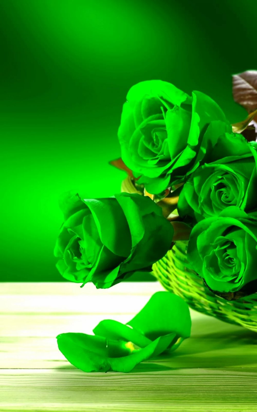Красивые цветы зеленого цвета