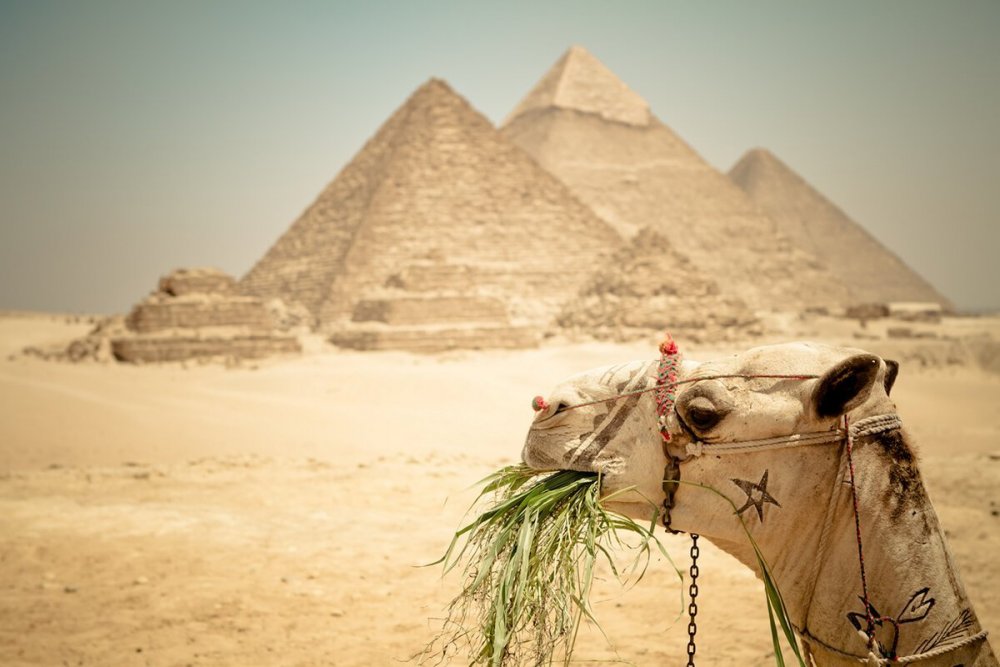 Египетские пирамиды Нил Египет