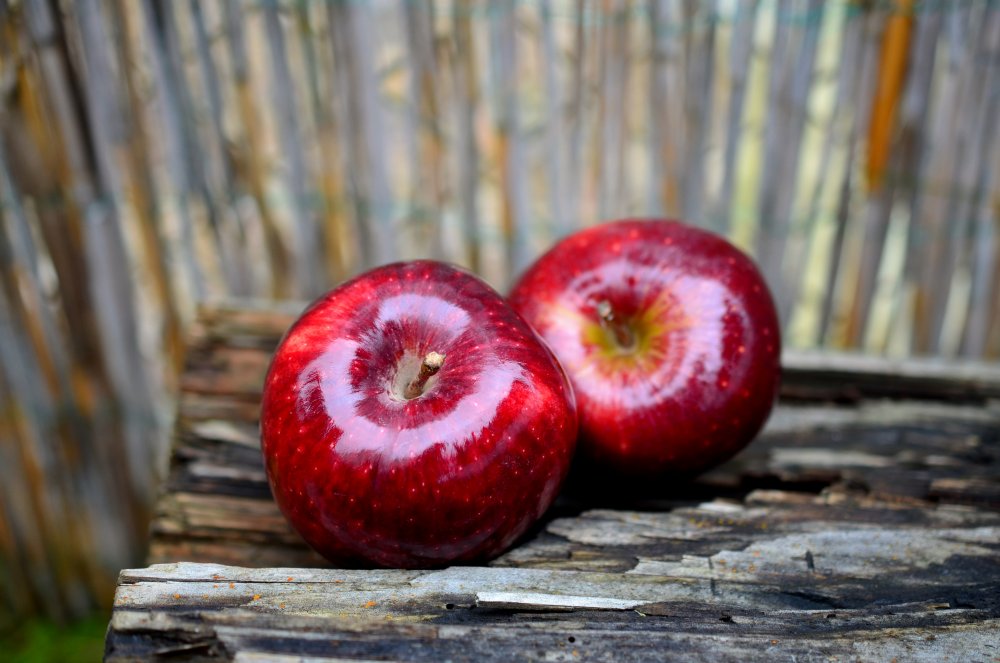 Курские яблоки красивое фото