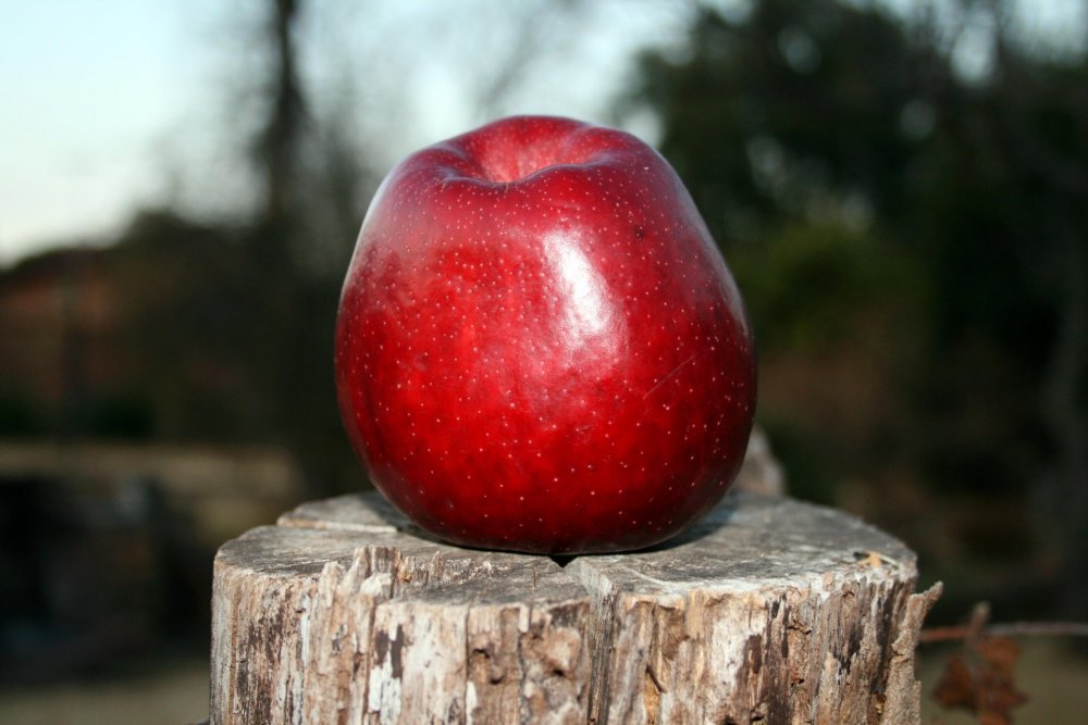 Яблоко в форме сердца