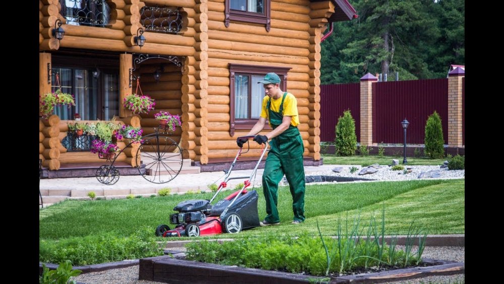 Джесси Меткалф торс отчаянные домохозяйки