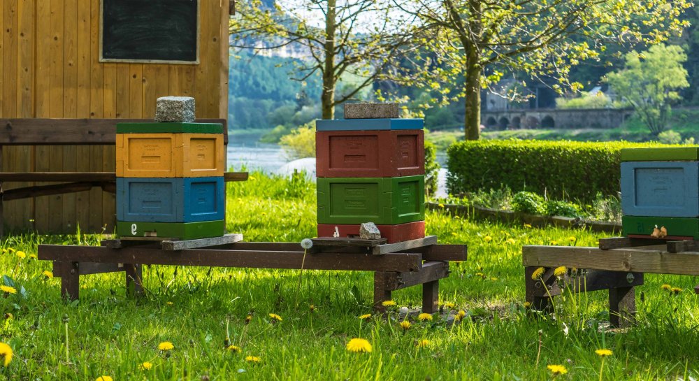 Номер пчеловодов на Калининграде