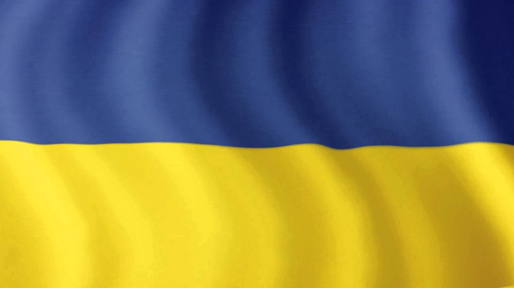 Украина 17 век флаг