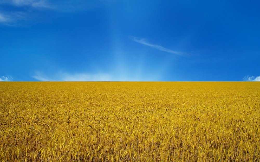 Флаг Украины поле