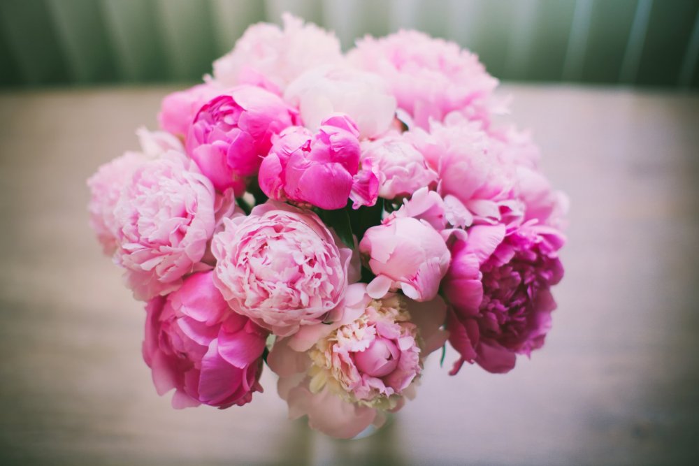 Пиони Пинк (Peony Pink)