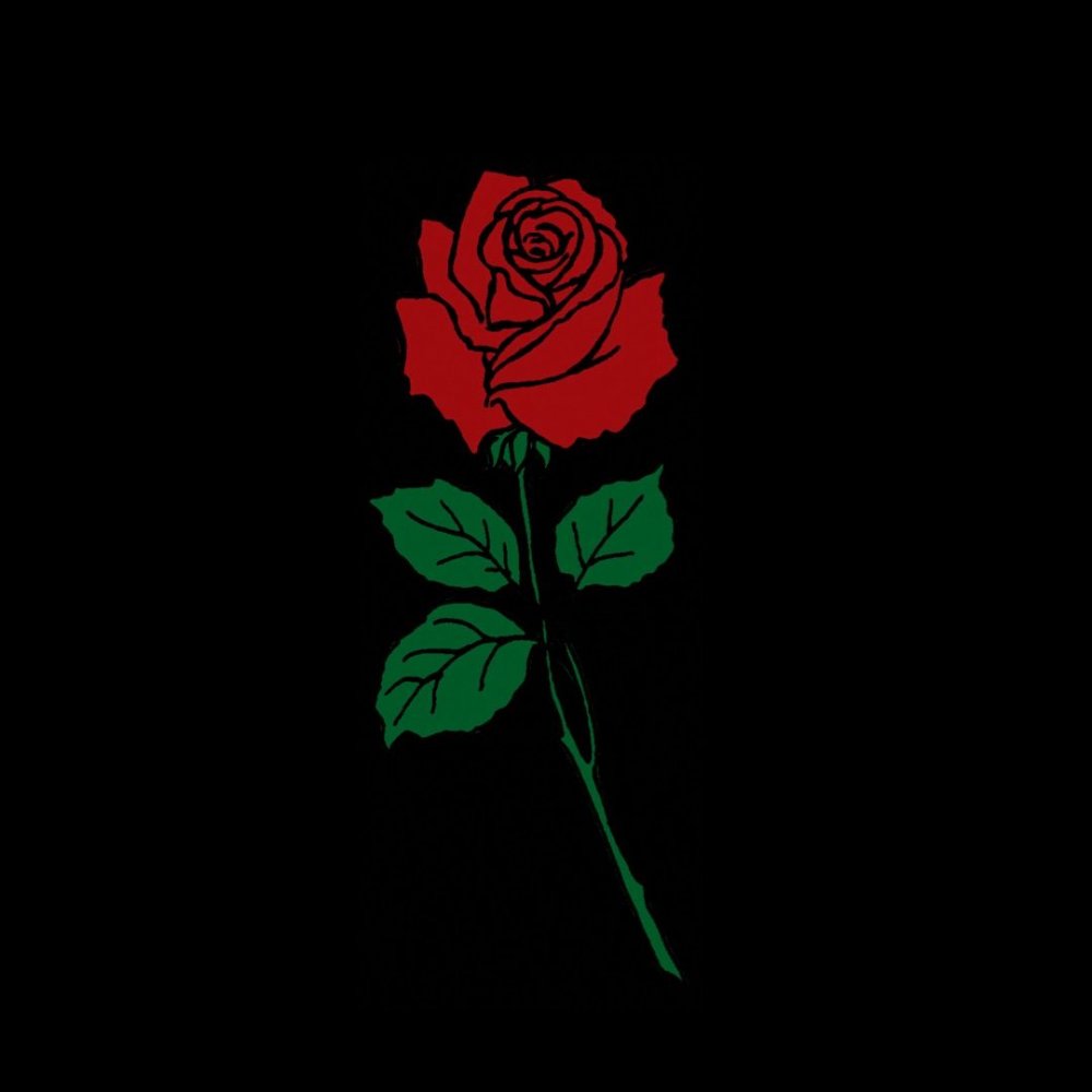 красная роза на черном фоне картинки
