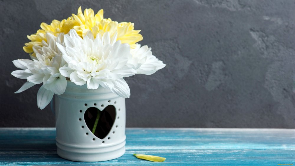 Желтые и белые хризантемы в вазе