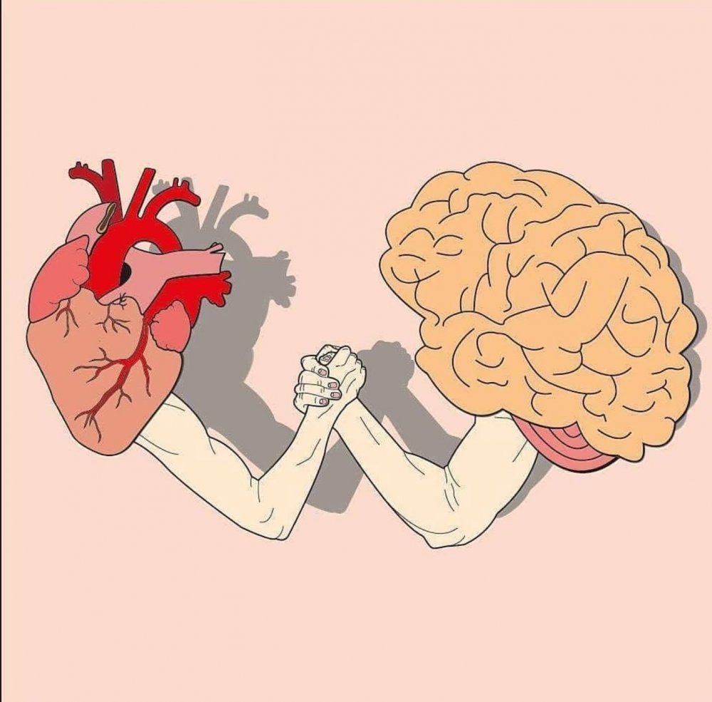 Мозги и сердце