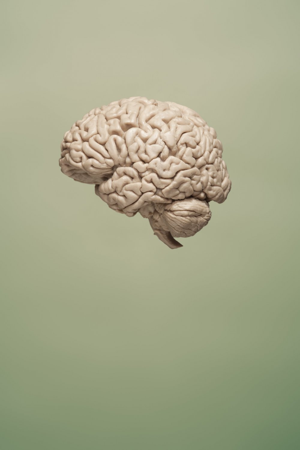 Красивый мозг
