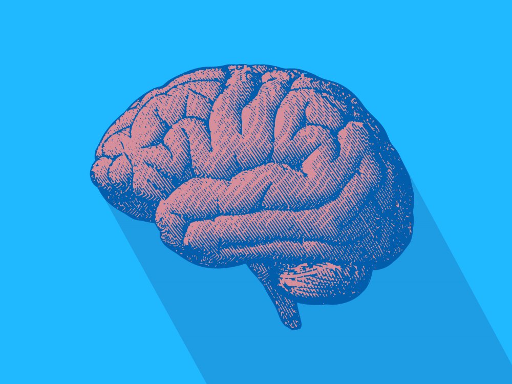 Мозг на голубом фоне